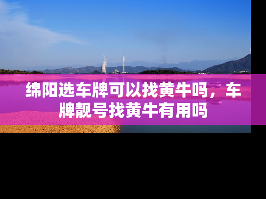 绵阳选车牌可以找黄牛吗，车牌靓号找黄牛有用吗-第1张图片-七号汽车选号
