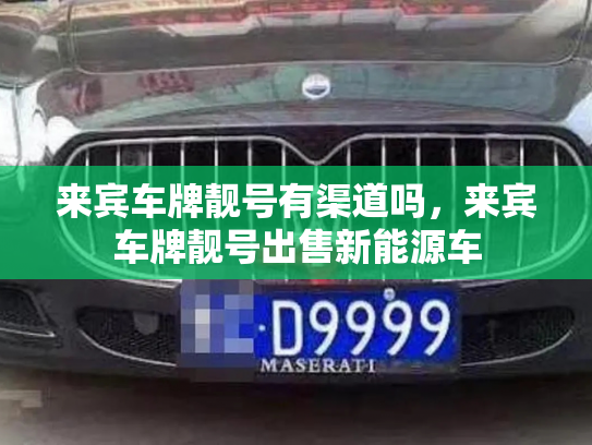 来宾车牌靓号有渠道吗，来宾车牌靓号出售新能源车-第3张图片-七号汽车选号