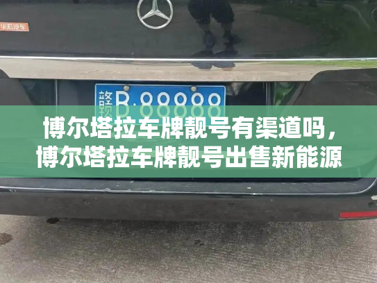 博尔塔拉车牌靓号有渠道吗，博尔塔拉车牌靓号出售新能源车-第2张图片-七号汽车选号