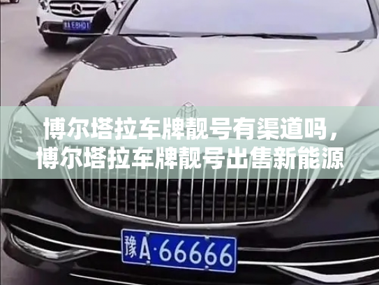 博尔塔拉车牌靓号有渠道吗，博尔塔拉车牌靓号出售新能源车-第3张图片-七号汽车选号