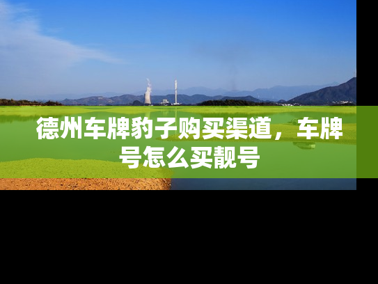 德州车牌豹子购买渠道，车牌号怎么买靓号