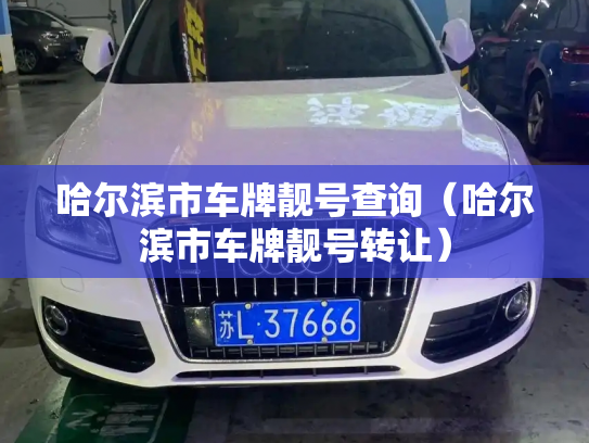 哈尔滨市车牌靓号查询(哈尔滨市车牌靓号转让)-第2张图片-七号汽车选号 哈尔滨市车牌靓号查询(哈尔滨市车牌靓号转让)-第2张图片-七号汽车选号