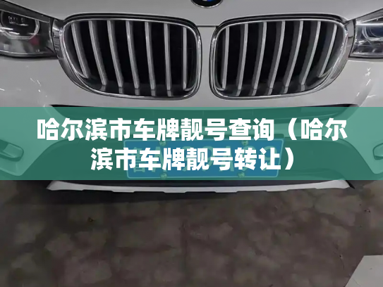 哈尔滨市车牌靓号查询(哈尔滨市车牌靓号转让)-第3张图片-七号汽车选号 哈尔滨市车牌靓号查询(哈尔滨市车牌靓号转让)-第3张图片-七号汽车选号