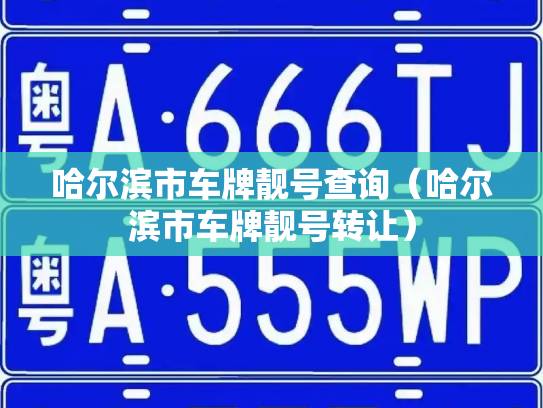 哈尔滨市车牌靓号查询(哈尔滨市车牌靓号转让)-第1张图片-七号汽车选号 哈尔滨市车牌靓号查询(哈尔滨市车牌靓号转让)-第1张图片-七号汽车选号