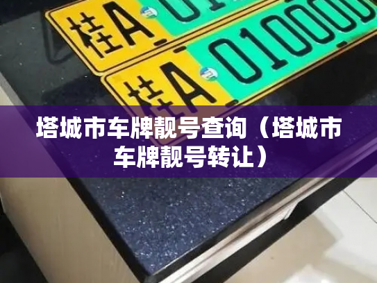 塔城市车牌靓号查询（塔城市车牌靓号转让）-第3张图片-七号汽车选号