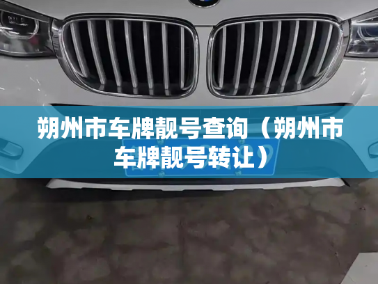朔州市车牌靓号查询（朔州市车牌靓号转让）-第2张图片-七号汽车选号
