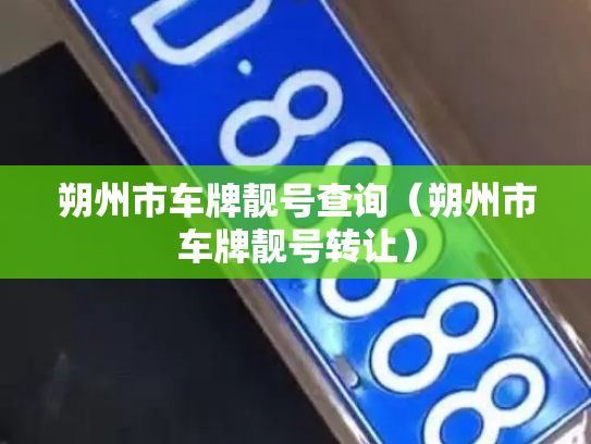 朔州市车牌靓号查询（朔州市车牌靓号转让）-第3张图片-七号汽车选号