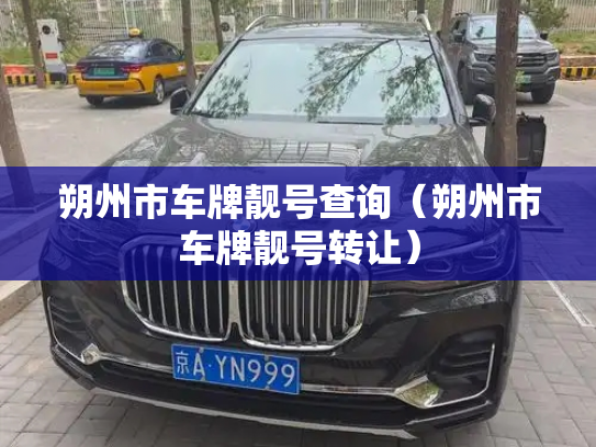 朔州市车牌靓号查询（朔州市车牌靓号转让）-第1张图片-七号汽车选号