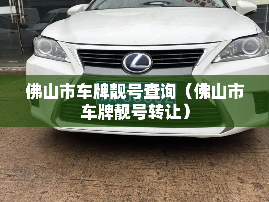 佛山市车牌靓号查询（佛山市车牌靓号转让）