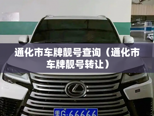 通化市车牌靓号查询（通化市车牌靓号转让）
