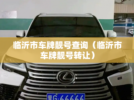 临沂市车牌靓号查询(临沂市车牌靓号转让)-第2张图片-七号汽车选号 临沂市车牌靓号查询(临沂市车牌靓号转让)-第2张图片-七号汽车选号