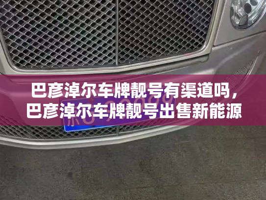 巴彦淖尔车牌靓号有渠道吗，巴彦淖尔车牌靓号出售新能源车-第2张图片-七号汽车选号