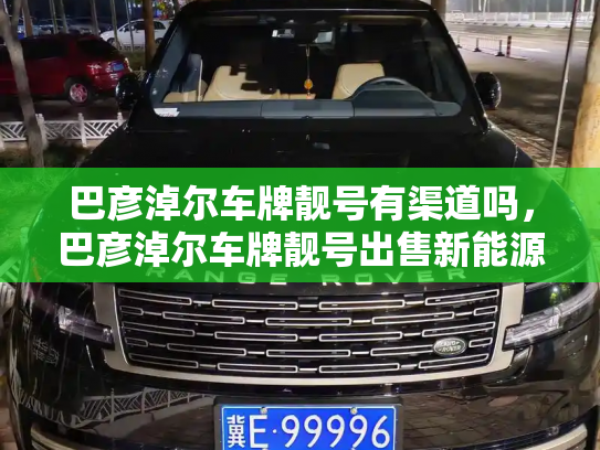 巴彦淖尔车牌靓号有渠道吗，巴彦淖尔车牌靓号出售新能源车-第3张图片-七号汽车选号