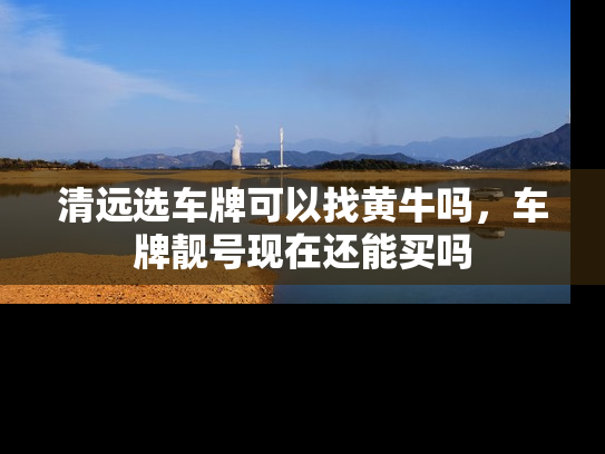 清远选车牌可以找黄牛吗，车牌靓号现在还能买吗