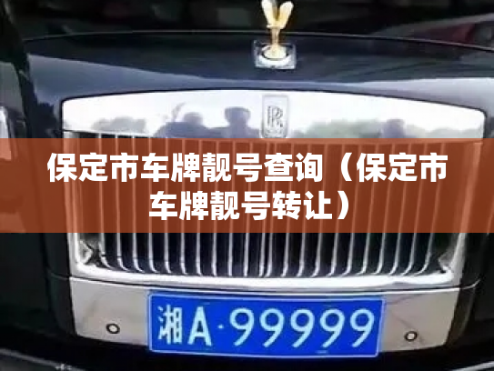保定市车牌靓号查询(保定市车牌靓号转让)-第3张图片-七号汽车选号 保定市车牌靓号查询(保定市车牌靓号转让)-第3张图片-七号汽车选号