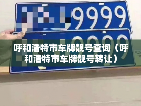 呼和浩特市车牌靓号查询（呼和浩特市车牌靓号转让）