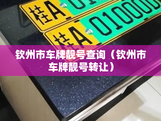 钦州市车牌靓号查询（钦州市车牌靓号转让）