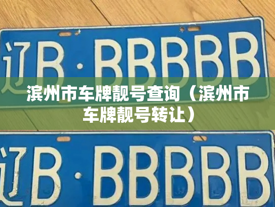 滨州市车牌靓号查询（滨州市车牌靓号转让）