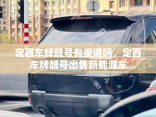 定西车牌靓号有渠道吗，定西车牌靓号出售新能源车-第2张图片-七号汽车选号