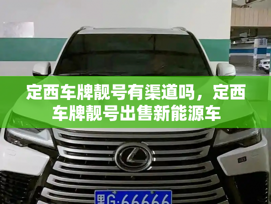 定西车牌靓号有渠道吗，定西车牌靓号出售新能源车-第3张图片-七号汽车选号