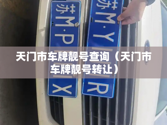 天门市车牌靓号查询(天门市车牌靓号转让)-第3张图片-七号汽车选号 天门市车牌靓号查询(天门市车牌靓号转让)-第3张图片-七号汽车选号