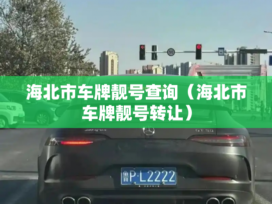 海北市车牌靓号查询(海北市车牌靓号转让)-第2张图片-七号汽车选号 海北市车牌靓号查询(海北市车牌靓号转让)-第2张图片-七号汽车选号