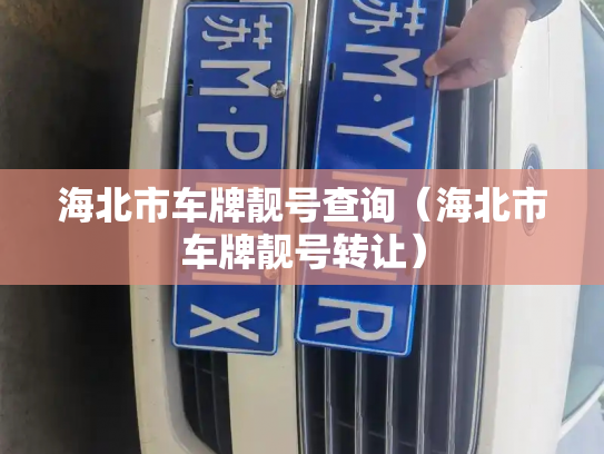 海北市车牌靓号查询（海北市车牌靓号转让）