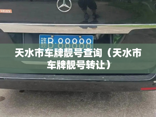 天水市车牌靓号查询（天水市车牌靓号转让）