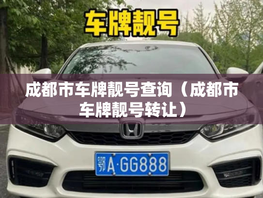 成都市车牌靓号查询(成都市车牌靓号转让)-第3张图片-七号汽车选号 成都市车牌靓号查询(成都市车牌靓号转让)-第3张图片-七号汽车选号