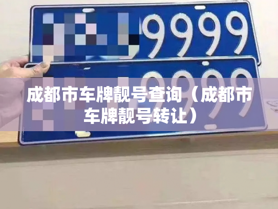 成都市车牌靓号查询（成都市车牌靓号转让）