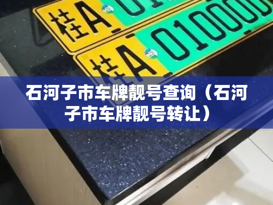 石河子市车牌靓号查询（石河子市车牌靓号转让）-第2张图片-七号汽车选号