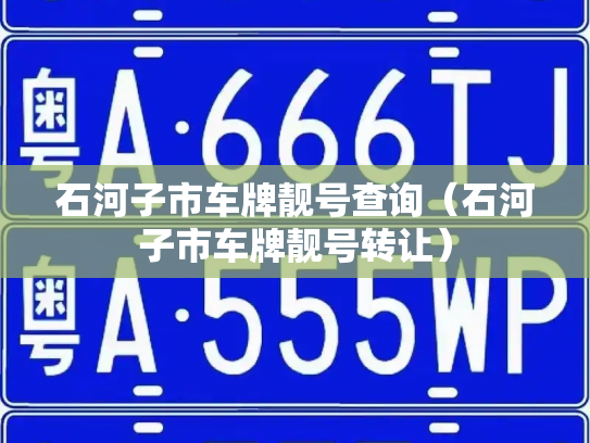 石河子市车牌靓号查询（石河子市车牌靓号转让）