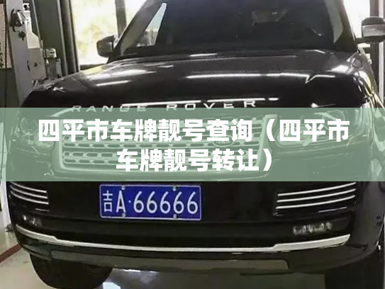 四平市车牌靓号查询(四平市车牌靓号转让)-第3张图片-七号汽车选号 四平市车牌靓号查询(四平市车牌靓号转让)-第3张图片-七号汽车选号