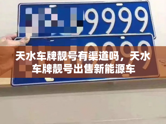 天水车牌靓号有渠道吗，天水车牌靓号出售新能源车-第2张图片-七号汽车选号