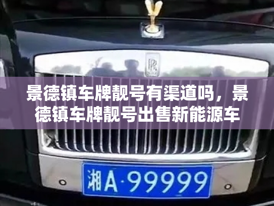 景德镇车牌靓号有渠道吗，景德镇车牌靓号出售新能源车-第2张图片-七号汽车选号