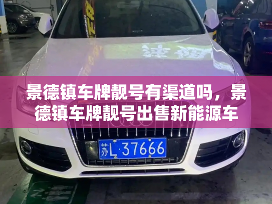 景德镇车牌靓号有渠道吗，景德镇车牌靓号出售新能源车-第3张图片-七号汽车选号