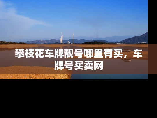 攀枝花车牌靓号哪里有买，车牌号买卖网
