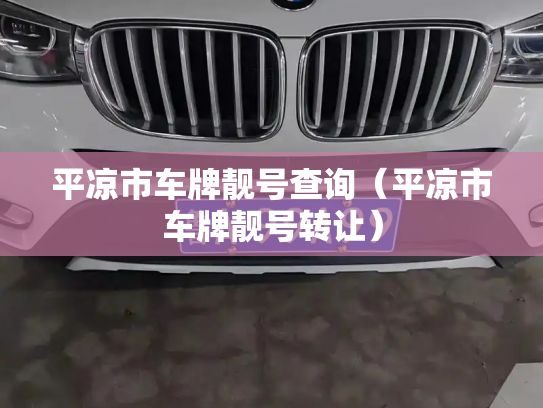 平凉市车牌靓号查询（平凉市车牌靓号转让）-第2张图片-七号汽车选号