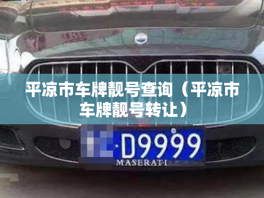 平凉市车牌靓号查询（平凉市车牌靓号转让）-第3张图片-七号汽车选号