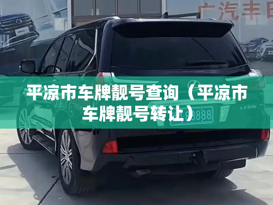 平凉市车牌靓号查询（平凉市车牌靓号转让）