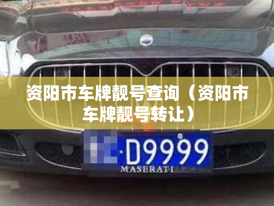 资阳市车牌靓号查询（资阳市车牌靓号转让）-第2张图片-七号汽车选号