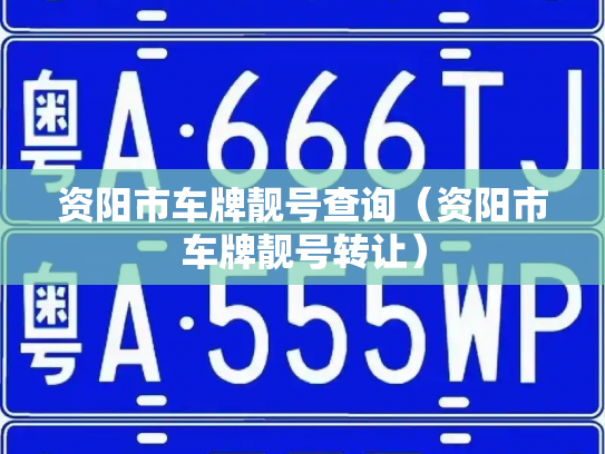 资阳市车牌靓号查询（资阳市车牌靓号转让）