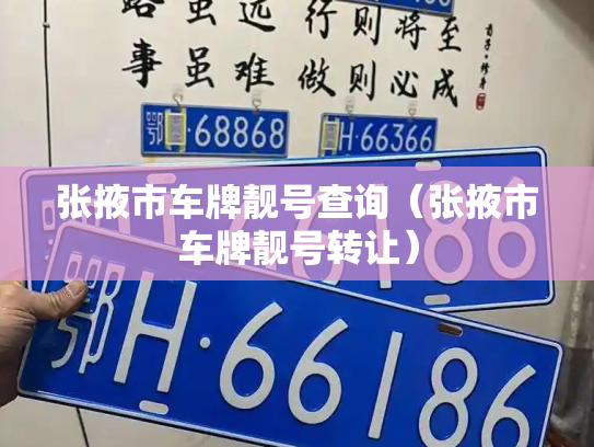 张掖市车牌靓号查询(张掖市车牌靓号转让)-第3张图片-七号汽车选号 张掖市车牌靓号查询(张掖市车牌靓号转让)-第3张图片-七号汽车选号