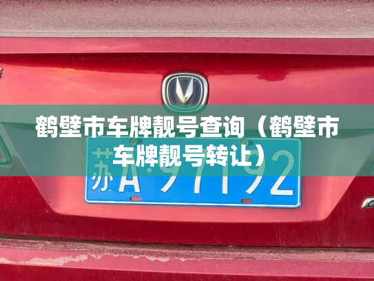 鹤壁市车牌靓号查询(鹤壁市车牌靓号转让)-第3张图片-七号汽车选号 鹤壁市车牌靓号查询(鹤壁市车牌靓号转让)-第3张图片-七号汽车选号