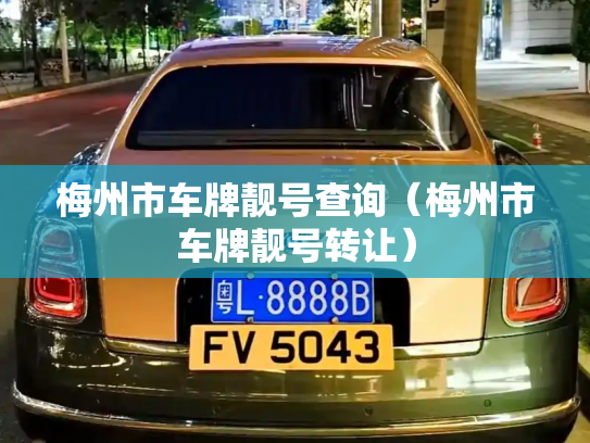 梅州市车牌靓号查询(梅州市车牌靓号转让)-第2张图片-七号汽车选号 梅州市车牌靓号查询(梅州市车牌靓号转让)-第2张图片-七号汽车选号
