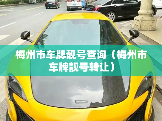 梅州市车牌靓号查询(梅州市车牌靓号转让)-第3张图片-七号汽车选号 梅州市车牌靓号查询(梅州市车牌靓号转让)-第3张图片-七号汽车选号
