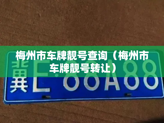 梅州市车牌靓号查询（梅州市车牌靓号转让）