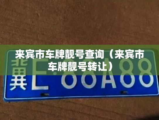 来宾市车牌靓号查询(来宾市车牌靓号转让)-第3张图片-七号汽车选号 来宾市车牌靓号查询(来宾市车牌靓号转让)-第3张图片-七号汽车选号