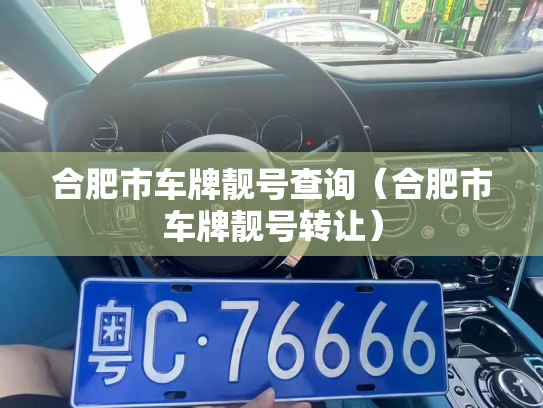 合肥市车牌靓号查询(合肥市车牌靓号转让)-第3张图片-七号汽车选号 合肥市车牌靓号查询(合肥市车牌靓号转让)-第3张图片-七号汽车选号