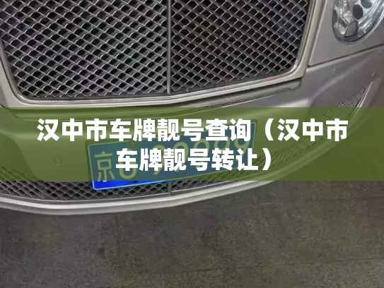 汉中市车牌靓号查询(汉中市车牌靓号转让)-第2张图片-七号汽车选号 汉中市车牌靓号查询(汉中市车牌靓号转让)-第2张图片-七号汽车选号
